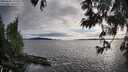./images/koeye/fitz-hugh/20250606/fitz-hugh20250606_192009M.jpg