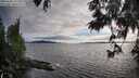 ./images/koeye/fitz-hugh/20250606/fitz-hugh20250606_192505M.jpg