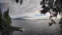 ./images/koeye/fitz-hugh/20250606/fitz-hugh20250606_193009M.jpg
