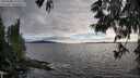 ./images/koeye/fitz-hugh/20250606/fitz-hugh20250606_193508M.jpg