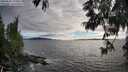 ./images/koeye/fitz-hugh/20250606/fitz-hugh20250606_194009M.jpg