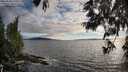 ./images/koeye/fitz-hugh/20250606/fitz-hugh20250606_195008M.jpg