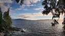 ./images/koeye/fitz-hugh/20250606/fitz-hugh20250606_200508M.jpg