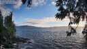 ./images/koeye/fitz-hugh/20250606/fitz-hugh20250606_201008M.jpg