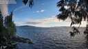 ./images/koeye/fitz-hugh/20250606/fitz-hugh20250606_201509M.jpg