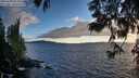 ./images/koeye/fitz-hugh/20250606/fitz-hugh20250606_203009M.jpg