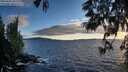 ./images/koeye/fitz-hugh/20250606/fitz-hugh20250606_203508M.jpg