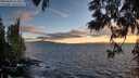 ./images/koeye/fitz-hugh/20250606/fitz-hugh20250606_211008M.jpg