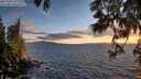 ./images/koeye/fitz-hugh/20250606/fitz-hugh20250606_211508M.jpg