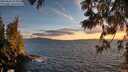 ./images/koeye/fitz-hugh/20250606/fitz-hugh20250606_212509M.jpg