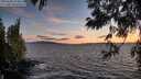 ./images/koeye/fitz-hugh/20250606/fitz-hugh20250606_214008M.jpg