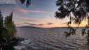 ./images/koeye/fitz-hugh/20250606/fitz-hugh20250606_214509M.jpg