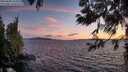 ./images/koeye/fitz-hugh/20250606/fitz-hugh20250606_215508M.jpg