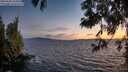 ./images/koeye/fitz-hugh/20250606/fitz-hugh20250606_221009M.jpg
