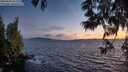 ./images/koeye/fitz-hugh/20250606/fitz-hugh20250606_221509M.jpg