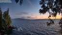 ./images/koeye/fitz-hugh/20250606/fitz-hugh20250606_222009M.jpg