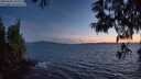./images/koeye/fitz-hugh/20250606/fitz-hugh20250606_223509M.jpg