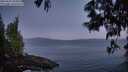 ./images/koeye/fitz-hugh/20250607/fitz-hugh20250607_044009M.jpg