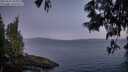 ./images/koeye/fitz-hugh/20250607/fitz-hugh20250607_044508M.jpg