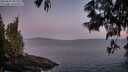 ./images/koeye/fitz-hugh/20250607/fitz-hugh20250607_045509M.jpg