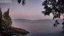 ./images/koeye/fitz-hugh/20250607/fitz-hugh20250607_050009M.jpg