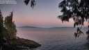 ./images/koeye/fitz-hugh/20250607/fitz-hugh20250607_050507M.jpg