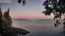 ./images/koeye/fitz-hugh/20250607/fitz-hugh20250607_051009M.jpg