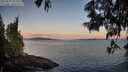./images/koeye/fitz-hugh/20250607/fitz-hugh20250607_052508M.jpg