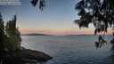 ./images/koeye/fitz-hugh/20250607/fitz-hugh20250607_053009M.jpg