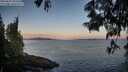 ./images/koeye/fitz-hugh/20250607/fitz-hugh20250607_053507M.jpg