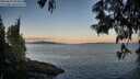 ./images/koeye/fitz-hugh/20250607/fitz-hugh20250607_054009M.jpg