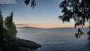 ./images/koeye/fitz-hugh/20250607/fitz-hugh20250607_054507M.jpg