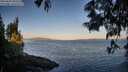 ./images/koeye/fitz-hugh/20250607/fitz-hugh20250607_060508M.jpg