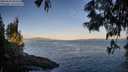 ./images/koeye/fitz-hugh/20250607/fitz-hugh20250607_061011M.jpg