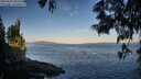./images/koeye/fitz-hugh/20250607/fitz-hugh20250607_061508M.jpg