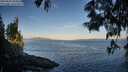 ./images/koeye/fitz-hugh/20250607/fitz-hugh20250607_062011M.jpg