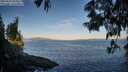 ./images/koeye/fitz-hugh/20250607/fitz-hugh20250607_062509M.jpg