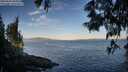 ./images/koeye/fitz-hugh/20250607/fitz-hugh20250607_064010M.jpg