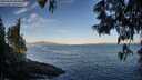 ./images/koeye/fitz-hugh/20250607/fitz-hugh20250607_064512M.jpg