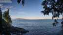 ./images/koeye/fitz-hugh/20250607/fitz-hugh20250607_065510M.jpg