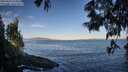 ./images/koeye/fitz-hugh/20250607/fitz-hugh20250607_070012M.jpg