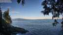 ./images/koeye/fitz-hugh/20250607/fitz-hugh20250607_070509M.jpg