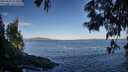 ./images/koeye/fitz-hugh/20250607/fitz-hugh20250607_071010M.jpg