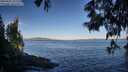 ./images/koeye/fitz-hugh/20250607/fitz-hugh20250607_071511M.jpg