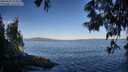 ./images/koeye/fitz-hugh/20250607/fitz-hugh20250607_072011M.jpg