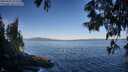 ./images/koeye/fitz-hugh/20250607/fitz-hugh20250607_072510M.jpg