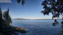 ./images/koeye/fitz-hugh/20250607/fitz-hugh20250607_073011M.jpg