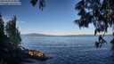 ./images/koeye/fitz-hugh/20250607/fitz-hugh20250607_074010M.jpg
