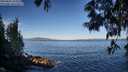 ./images/koeye/fitz-hugh/20250607/fitz-hugh20250607_074509M.jpg
