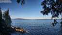 ./images/koeye/fitz-hugh/20250607/fitz-hugh20250607_075011M.jpg